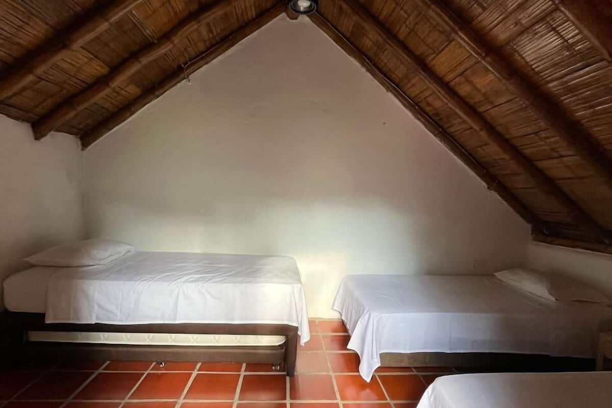 Basic Room, Garden View