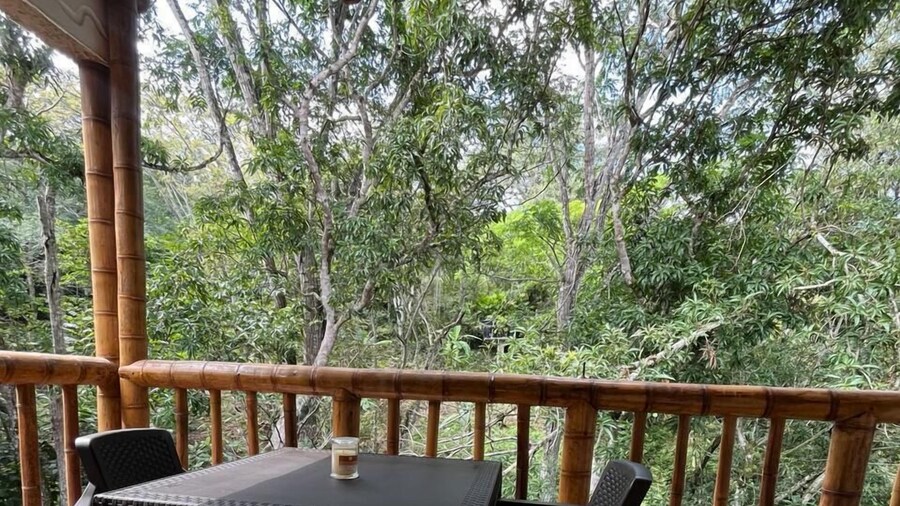 蒙特莱昂小屋- Pailcol Huila