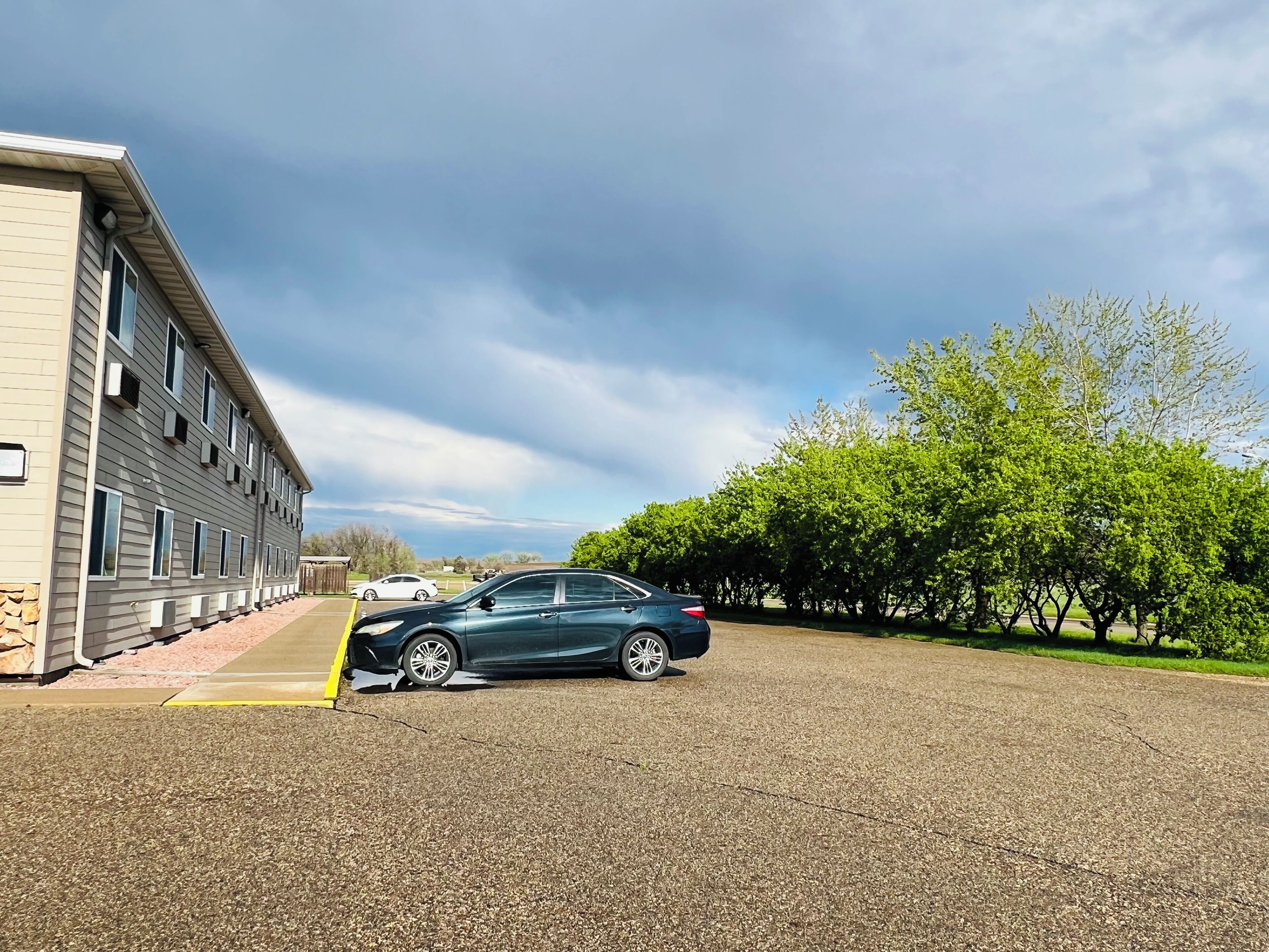A parking lot with a building on the left and a row of trees on the right.