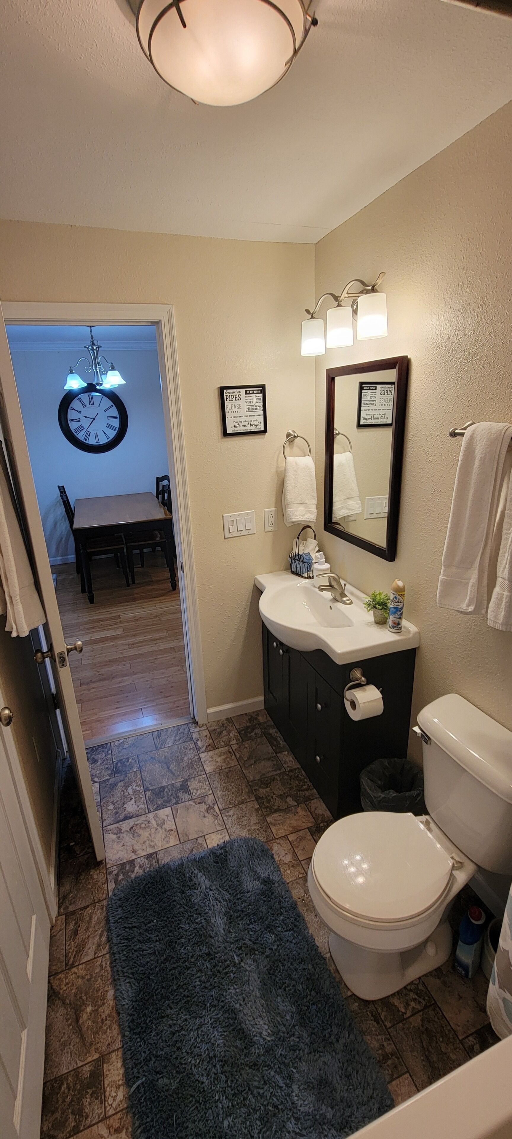 Hair dryer, towels, soap, shampoo