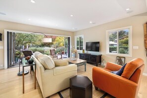 Smart TV, lareira, livros, aparelho de som