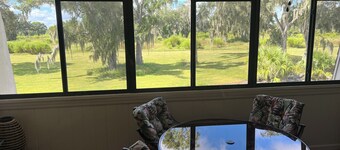 Southern Comfort - Beautiful and spacious 2/2 condo - pool and nature view!