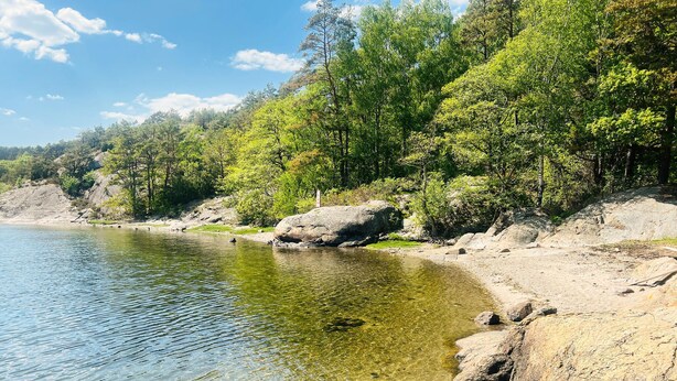 Ein klarer See, umgeben von felsigen Ufern und dichtem Grünwerk.