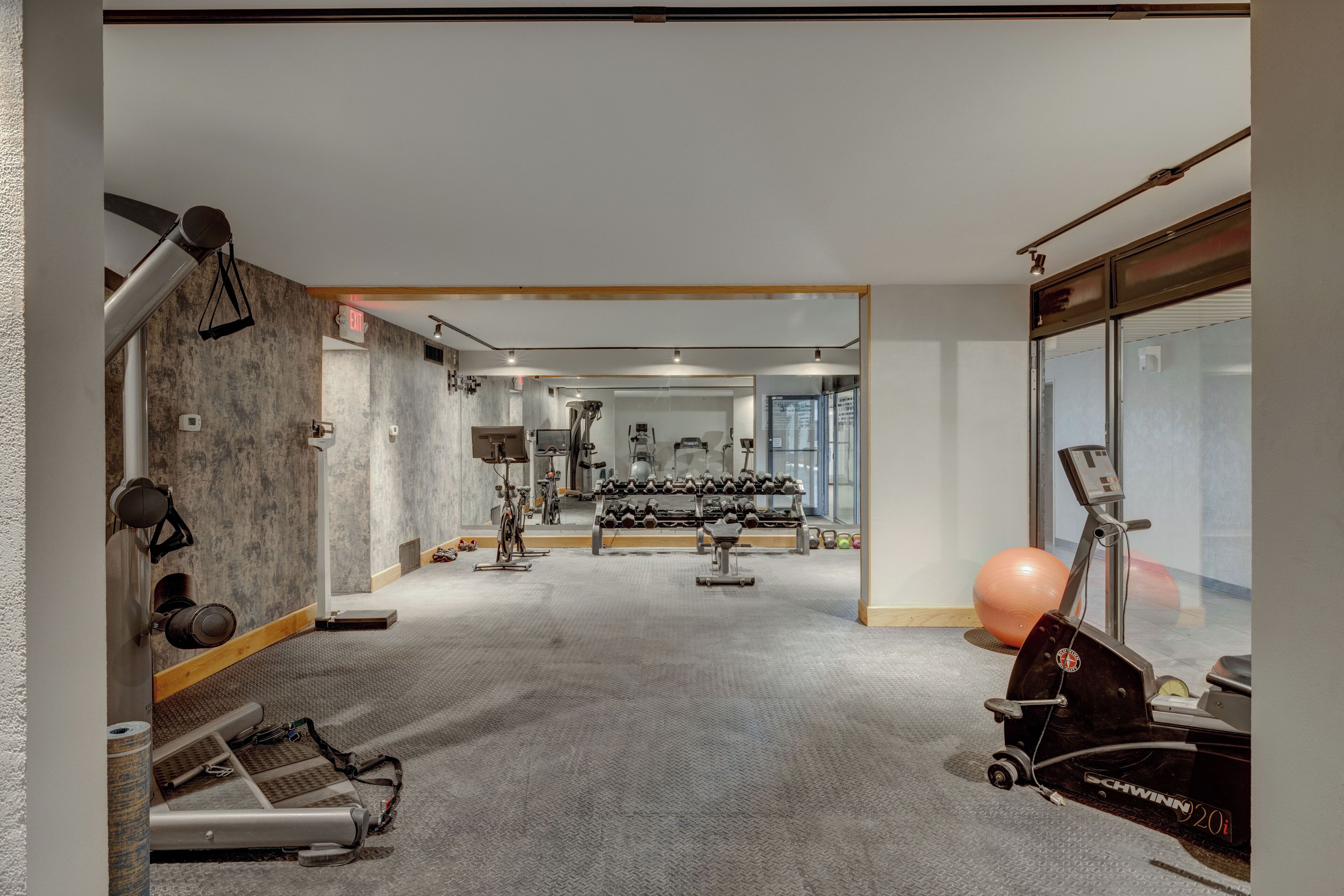 Un gimnasio con máquinas de cardio, pesas y balones de ejercicio.