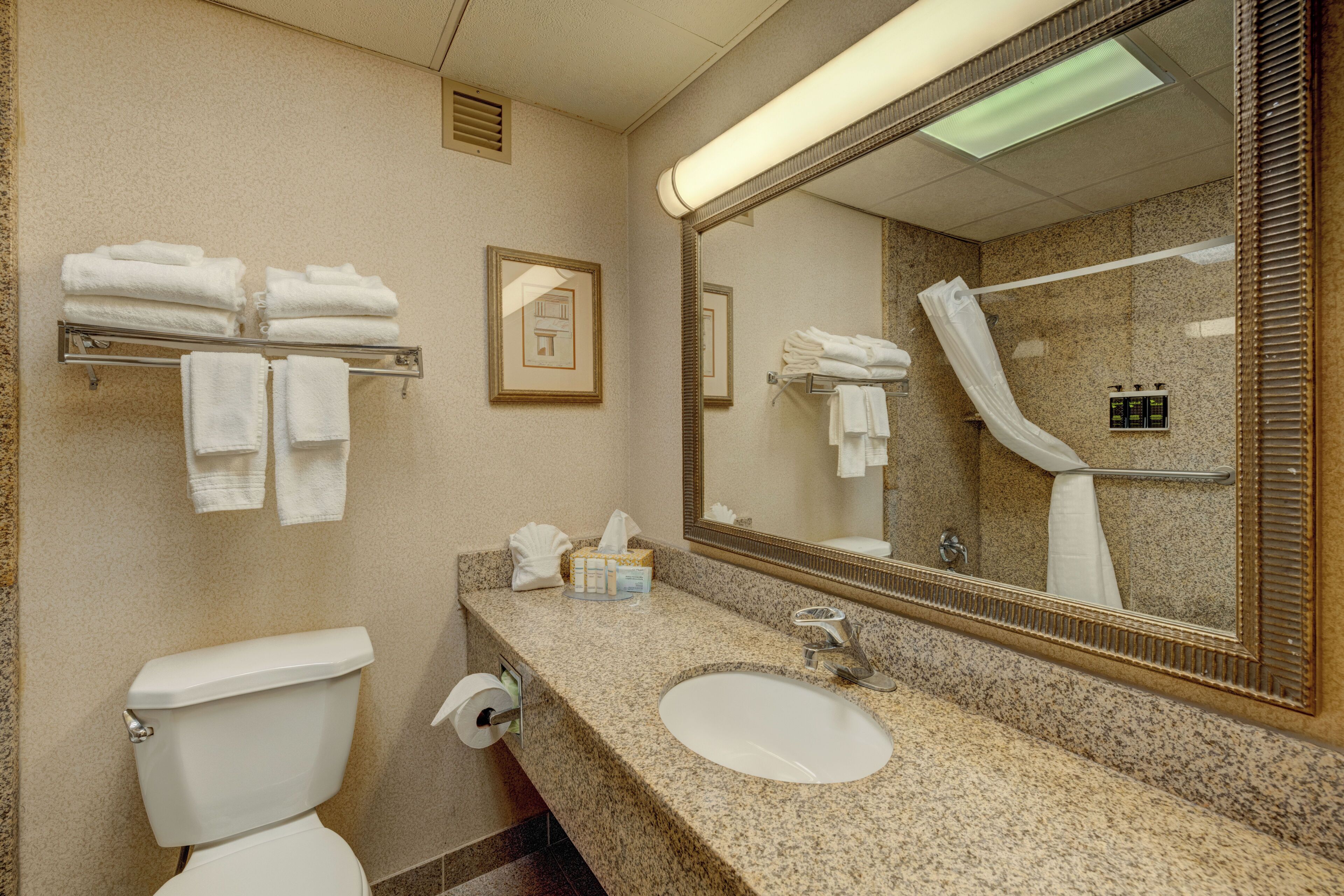 A bathroom with a toilet, sink, and shower. There are towels on a rack and a mirror above the sink.