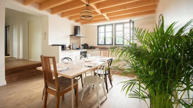 A dining area with a wooden table and chairs, a large potted plant, and a kitchen in the background.