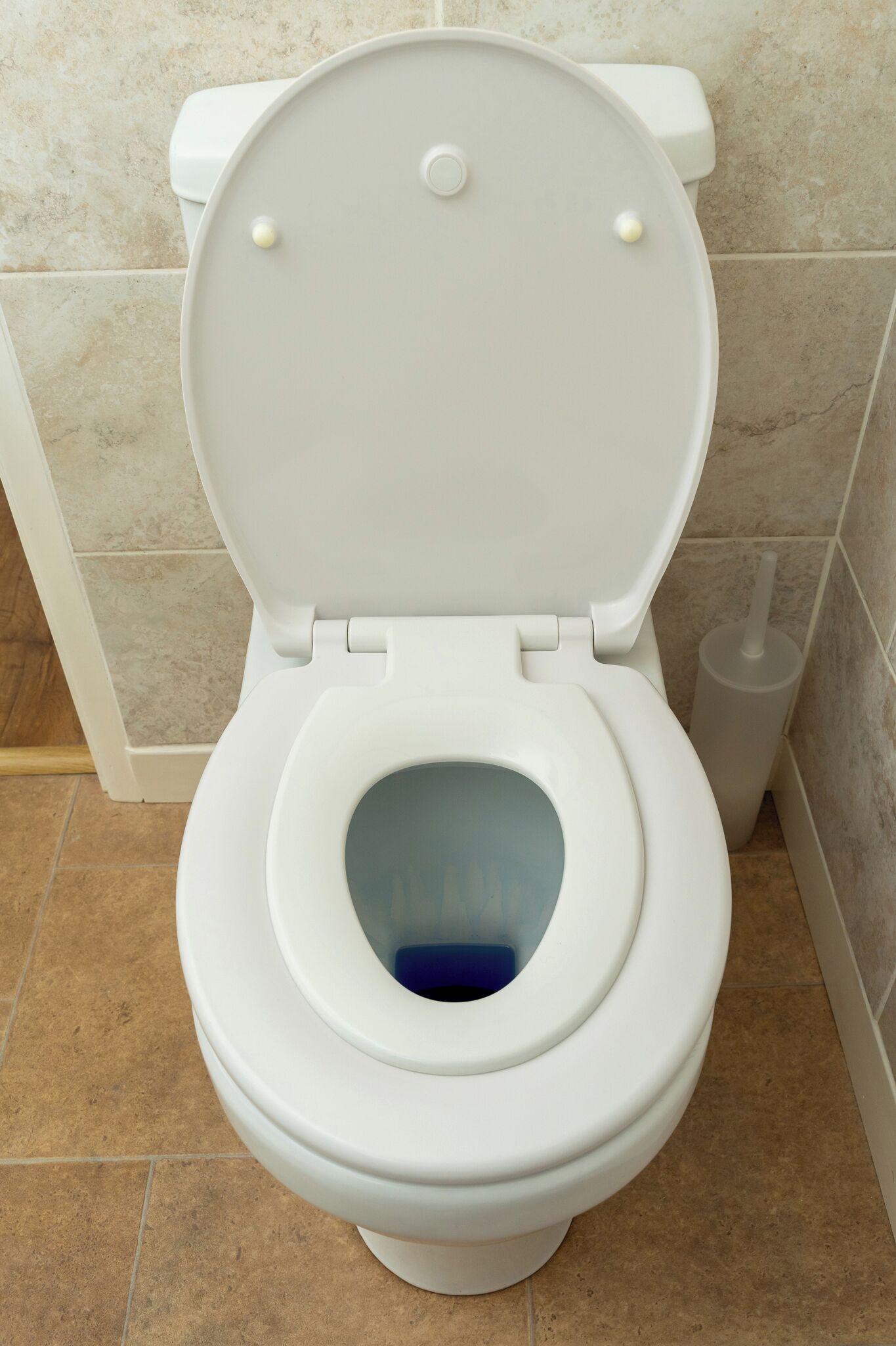 Eine weiße Toilette mit geschlossenem Deckel, Spülhebel und Toilettenbürste.