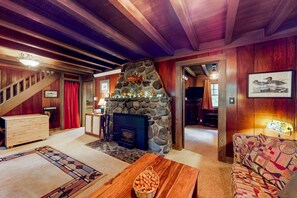 TV, fireplace, books