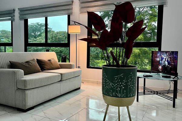 Televisor intel·ligent