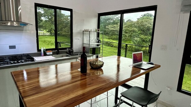 A modern kitchen with a wooden countertop, a laptop, and a view of greenery outside.