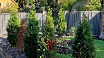 Parco della struttura