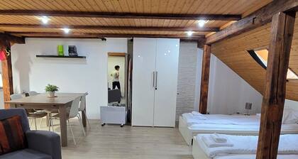 Cozy Studio for 3 with Roof terrace!