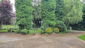A paved pathway with a metal fence and a small garden area with various plants and a yellow flower bush. - Nice home in Kilder with kitchen (Kilder)