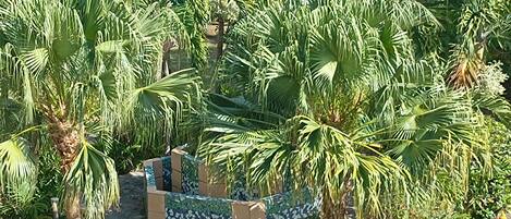 Overnatningsstedets område