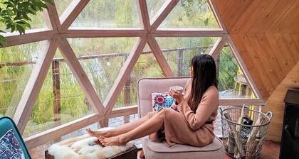 Glamping Tipo Domo Inmerso en la Naturaleza Rodeado de Fauna y Mucha paz