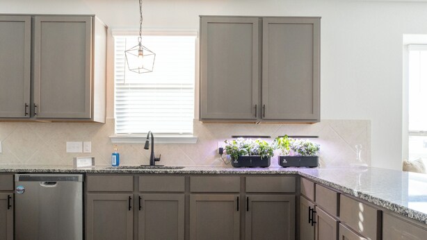 A kitchen with grey cabinets, a dishwasher, and a window with blinds. - 🏈 GAME DAY WATCH PARTY!  (Bryan)