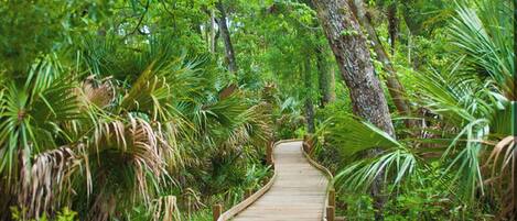 Enceinte de l’hébergement