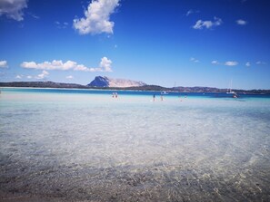 Playa en los alrededores 