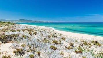Playa en los alrededores