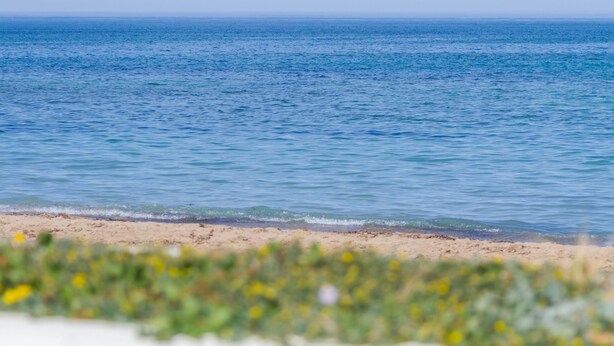Una playa con agua cristalina y una orilla arenosa.