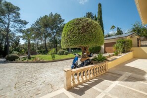 Une cour pavée avec un scooter, un arbre aux branches taillées avec soin et un bâtiment doté d’un toit en pente.