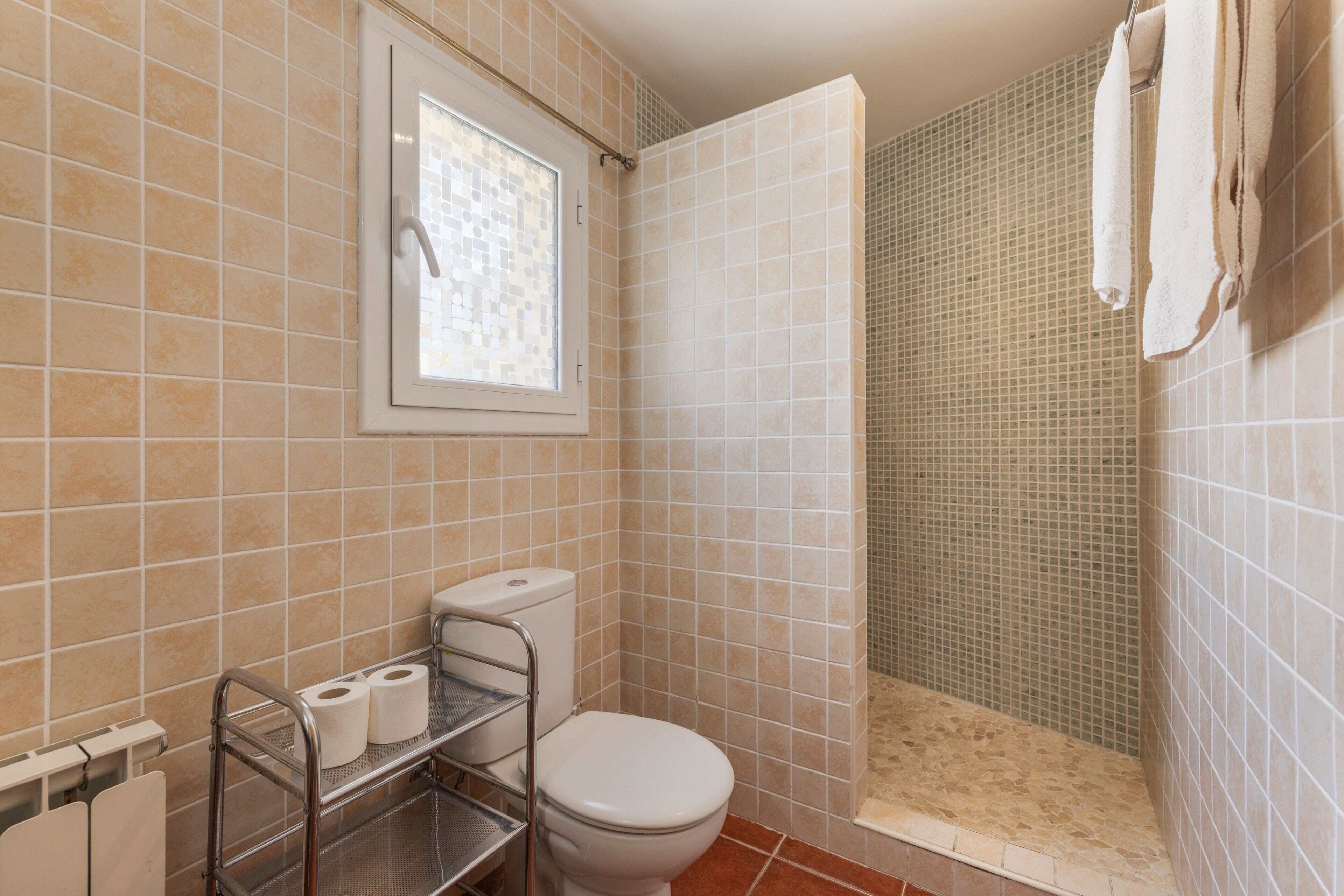 Shower, free toiletries, hair dryer