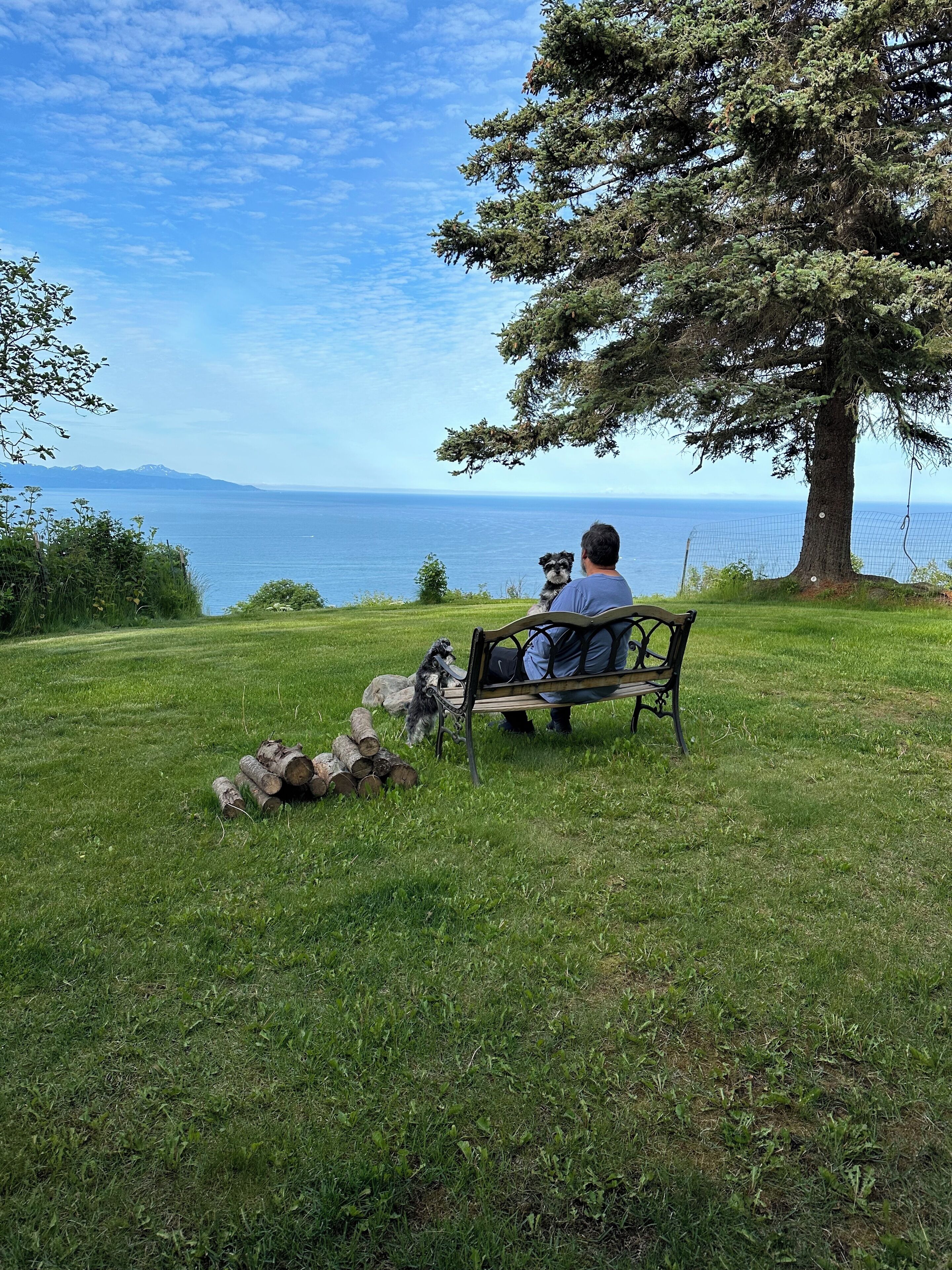 A person sitting on a bench with a dog, overlooking a body of water and mountains.