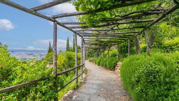 Ein Kiesweg unter einer Holzpergola mit viel Grün an beiden Seiten.