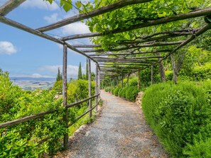 Property grounds - Monache 1 by Interhome (Montaione)