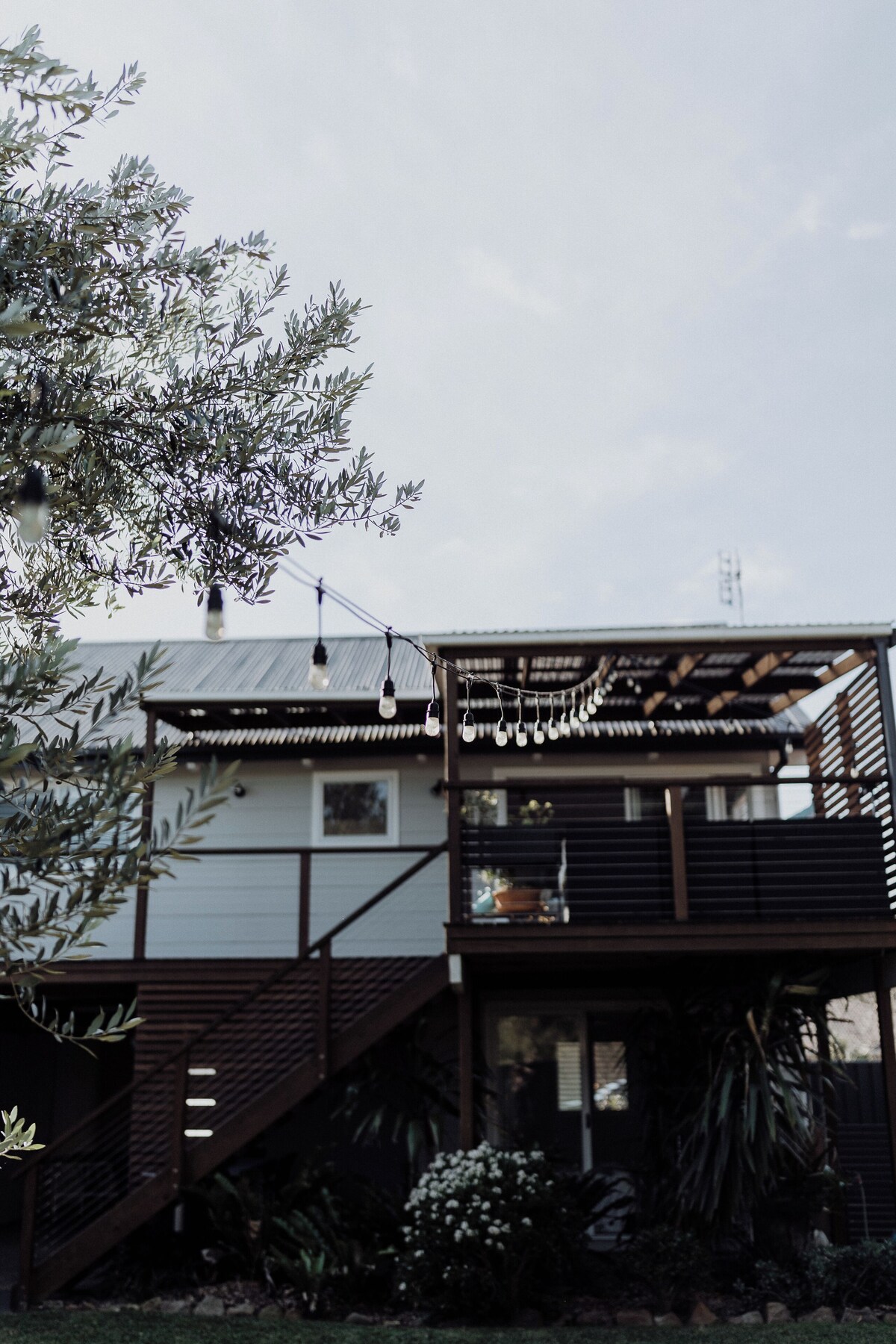 Imagen de perfil del propietario o de la propietaria