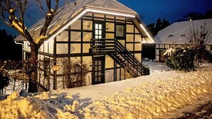Uklassifisert bilde, 4 av 52, knapp