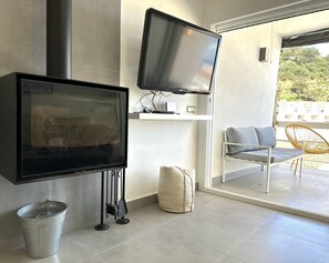 Televisión 