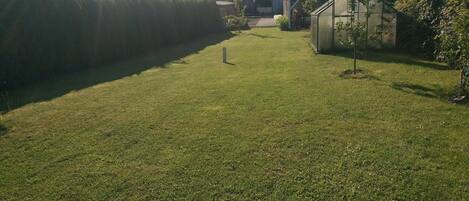 A grassy yard with a wooden structure and a small shed.