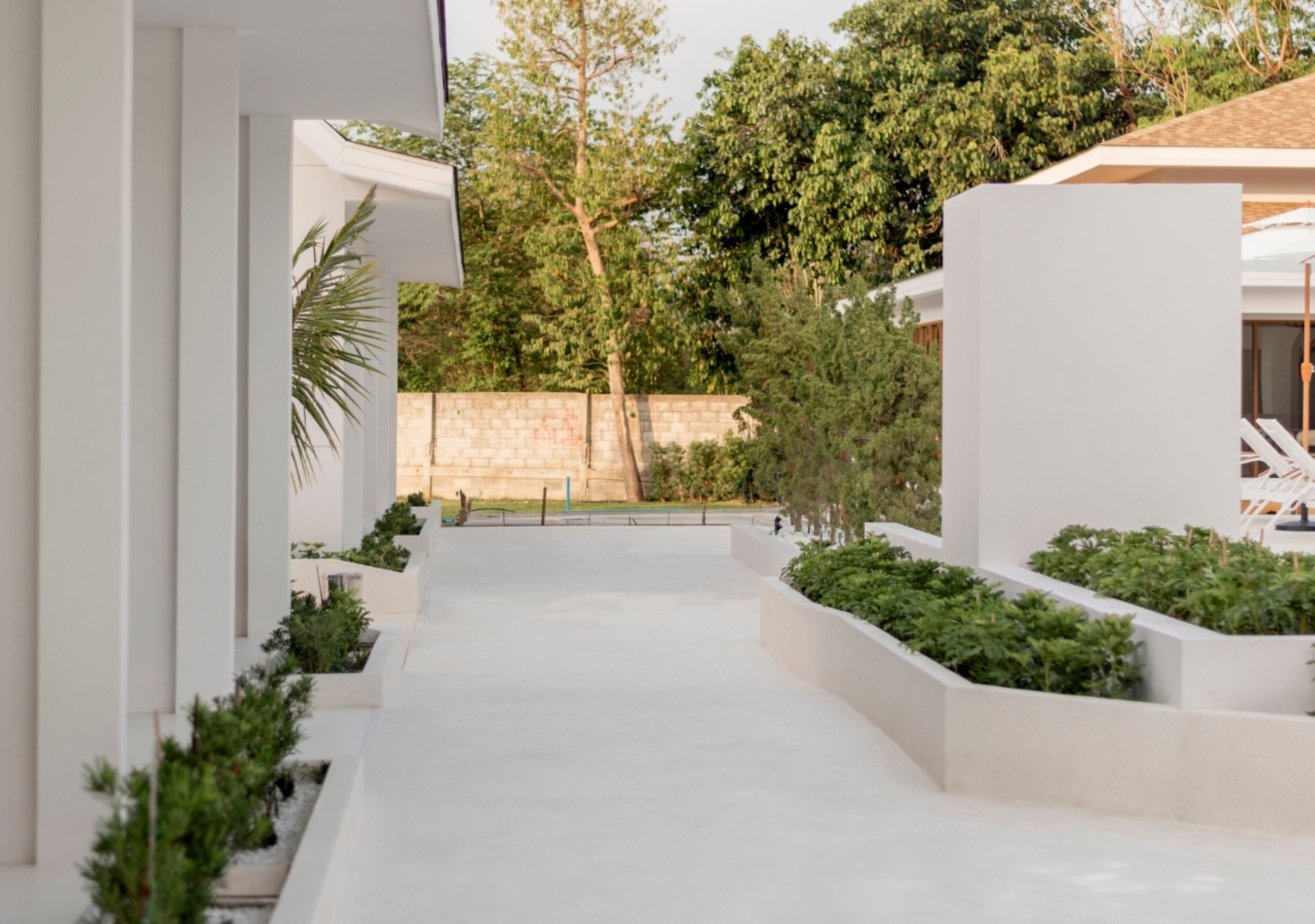 A modern outdoor area with a concrete pathway, white walls, and greenery.