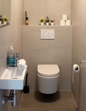 Dutxa, assecador de cabells i tovalloles 