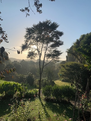 Property grounds - Rustic Cabin Getaway - simple luxury with cosy loft bed, outdoor fire and bath (Auckland)