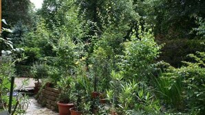 A garden with potted plants and a stone pathway. - Apartment 'Grüne Oase In Der Großstadt' with Private Terrace, Garden and Wi-Fi (Berlin)