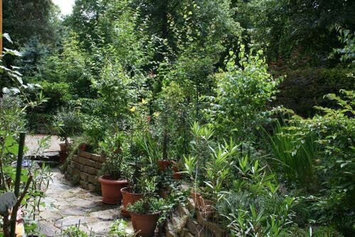 Ferienwohnung 'Grüne Oase In Der Großstadt' mit privater Terrasse, privatem Garten und WLAN