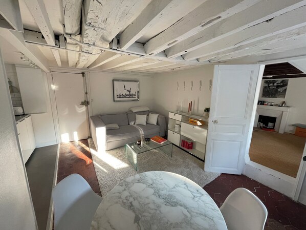 Living area - Charmant Appartement Entre L'esplanade des Invalides et L'assemblée Nationale (Paris)