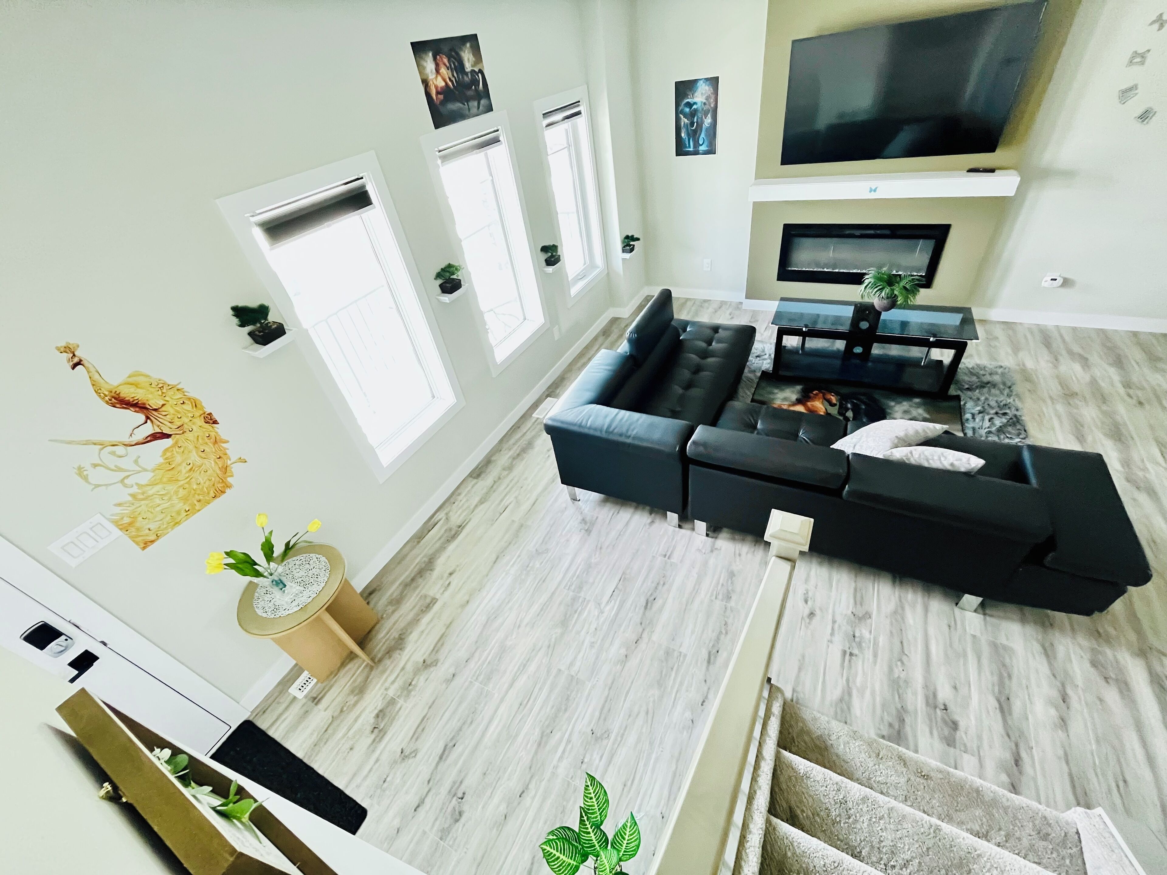 Smart TV, fireplace, books