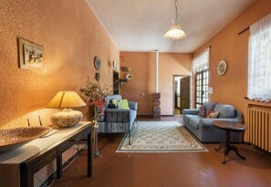 Televisión, chimenea y reproductor de DVD 