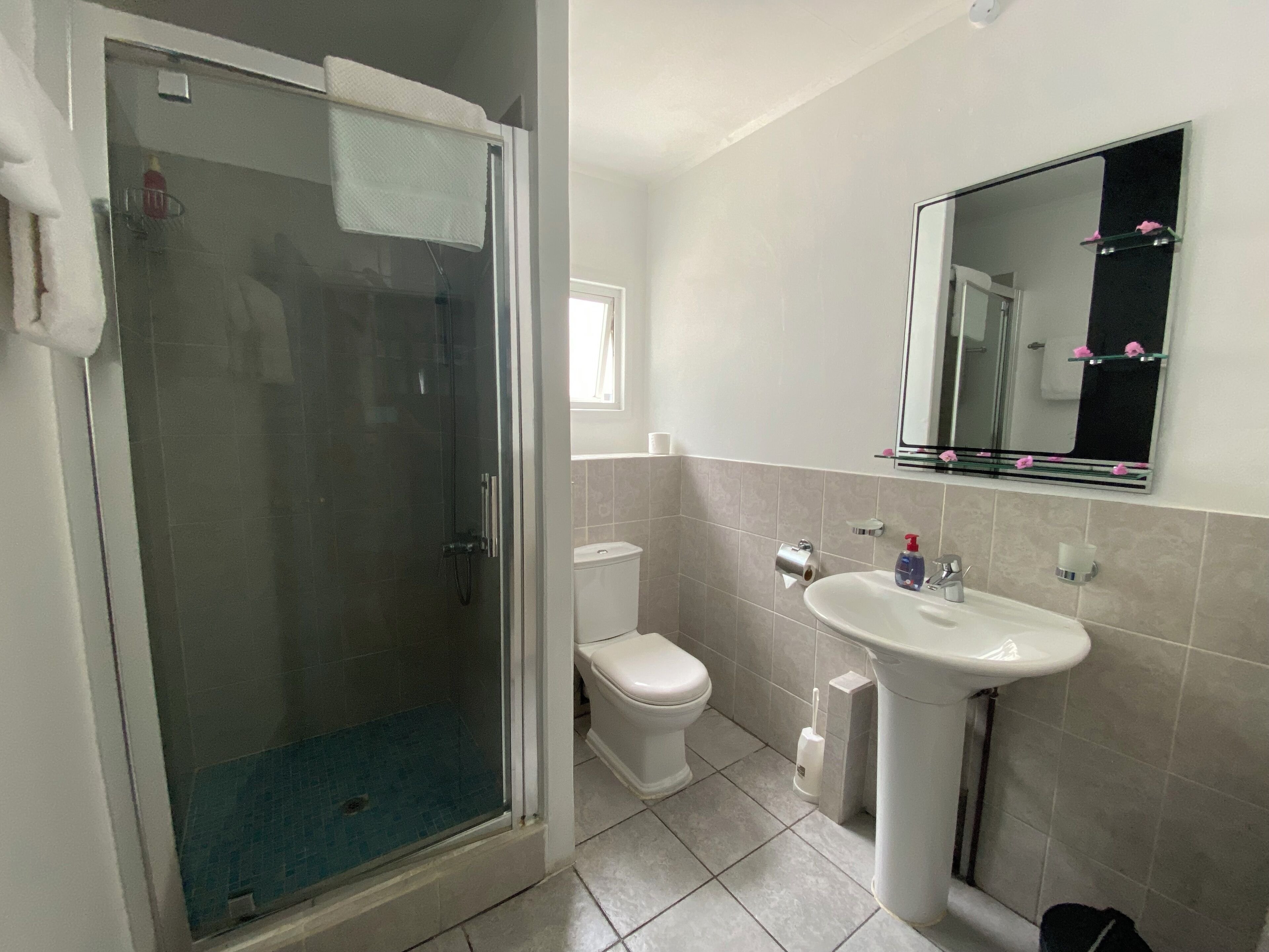 A bathroom with a glass-enclosed shower, a toilet, and a sink with a mirror above it.