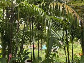 Family Apartment, Garden View | Garden view - Stephna Residence (Mahé Island)