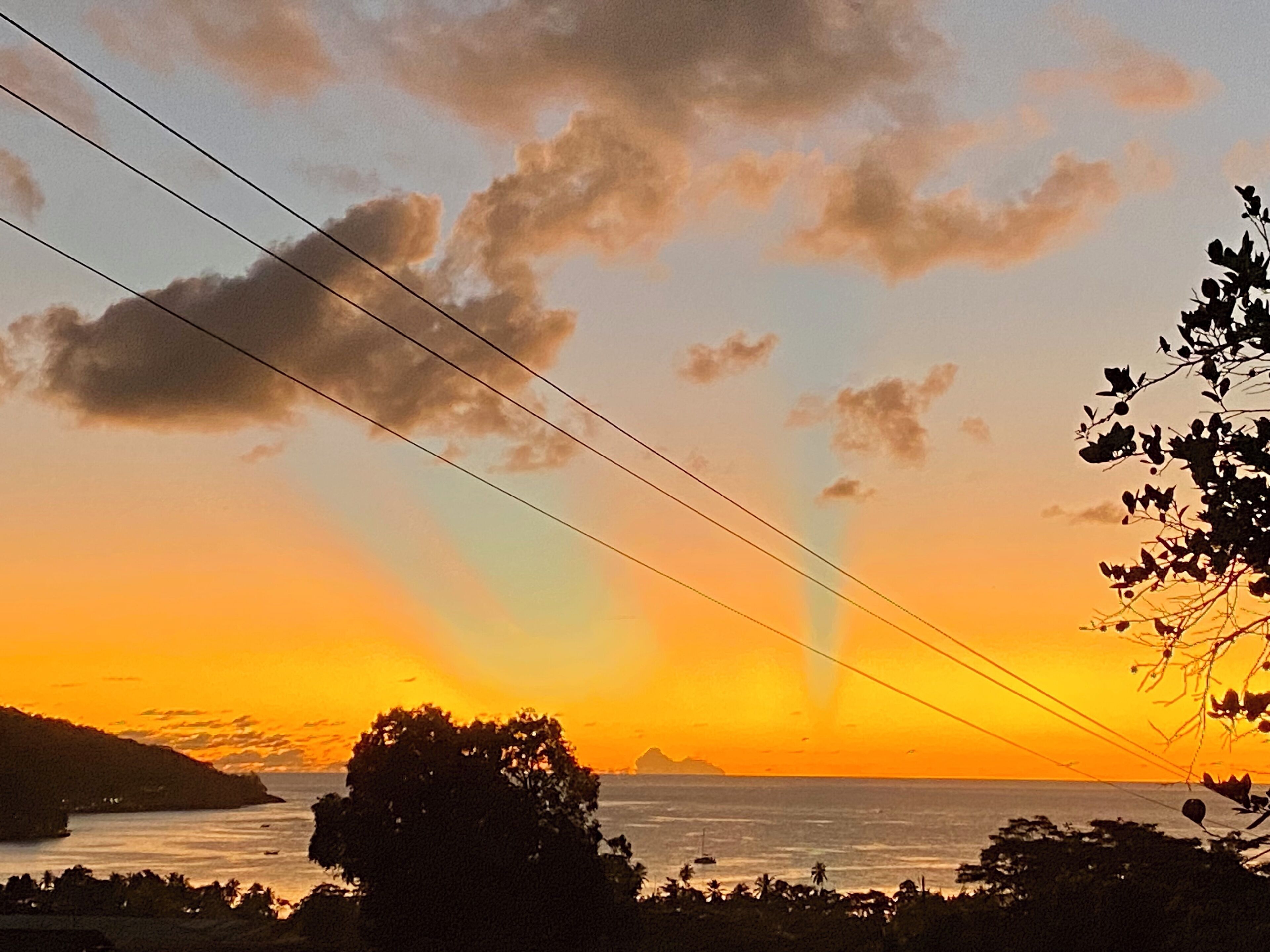 A sunset over a coastal landscape with silhouettes of trees and a distant island.