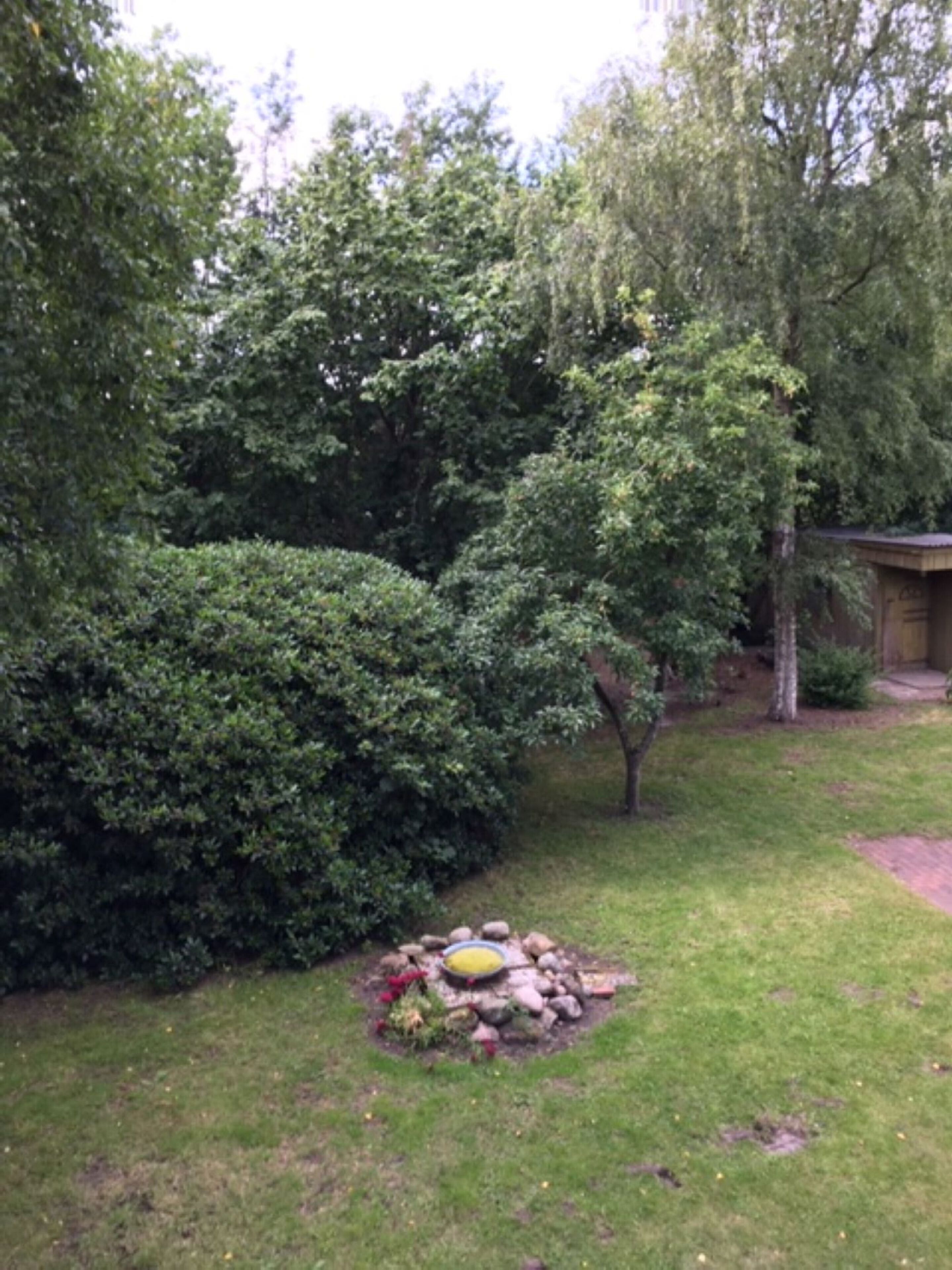 A garden with a stone arrangement, a small tree, and a shed.