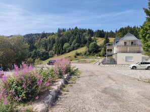 Property grounds - 3-Room Apartment with Terrace (Orbey)