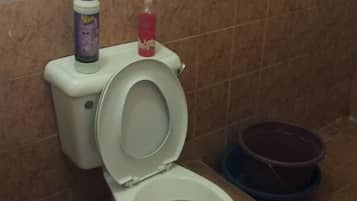 Shower, towels, soap, shampoo