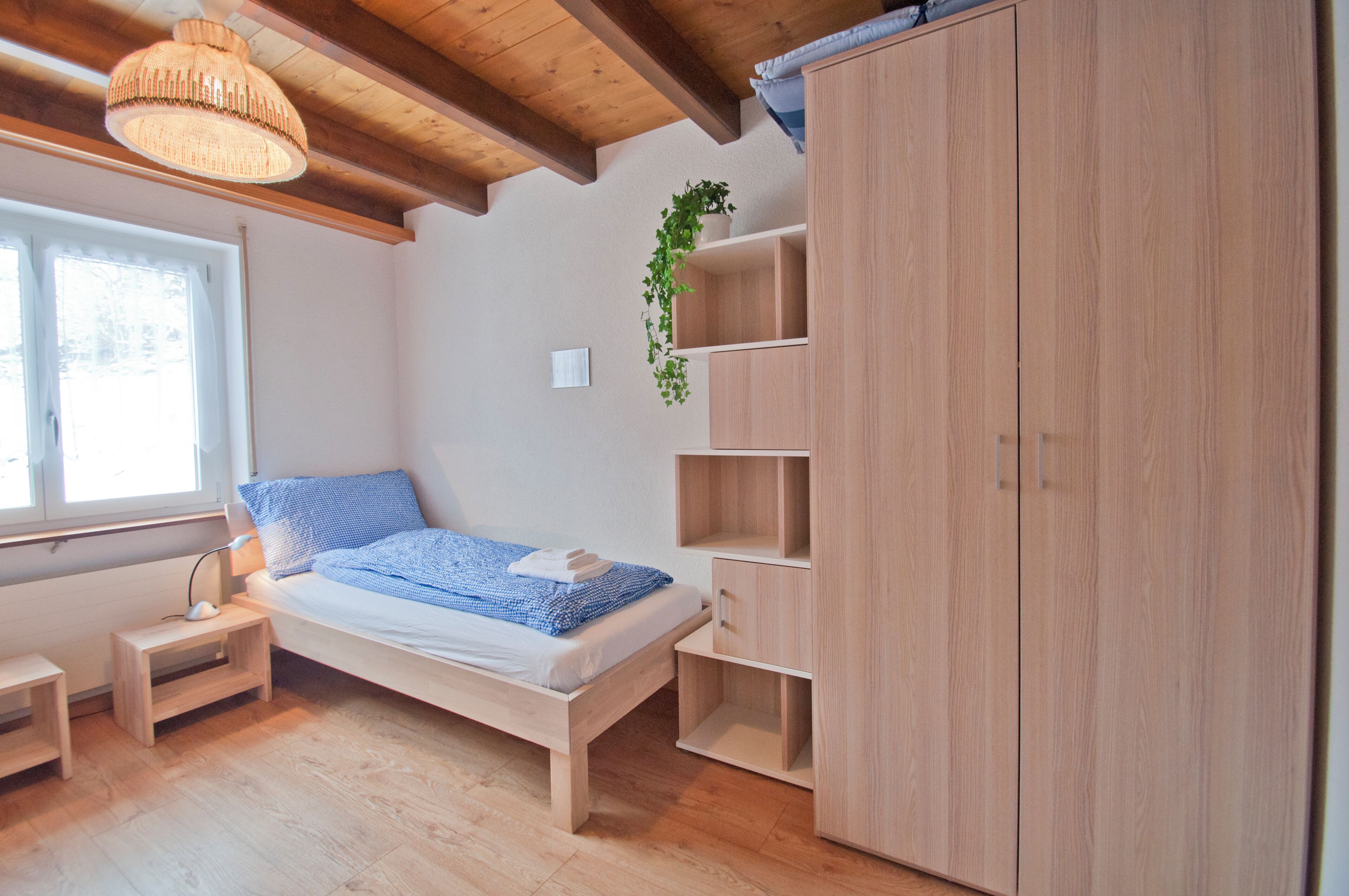 A bedroom with a wooden bed, a bedside table, a hanging plant, and a wardrobe.