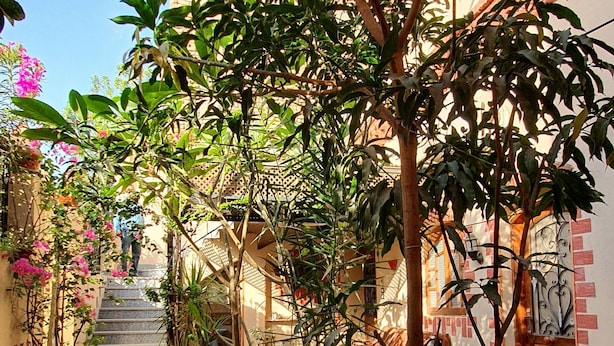 Un patio con un árbol, un pequeño jardín y una escalera que lleva a un nivel superior.