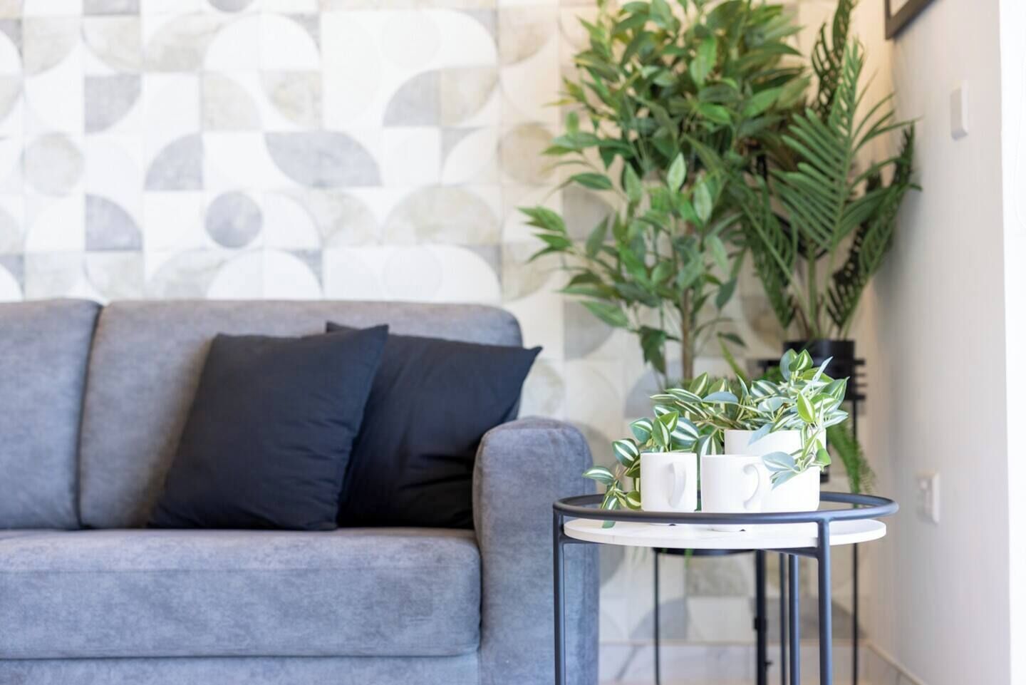 Ein graues Sofa mit schwarzen Kissen, ein kleiner runder Tisch mit einer Pflanze und weißen Tassen, und eine Wand mit Muster im Hintergrund.